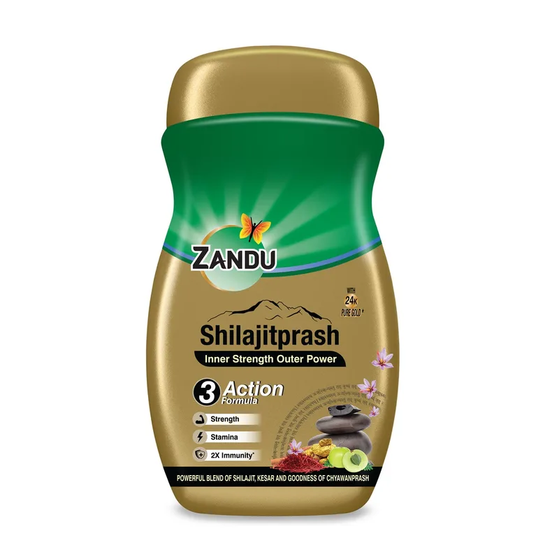 Zandu Shilajitprash Ayurvedic chyawanprash immunity booster